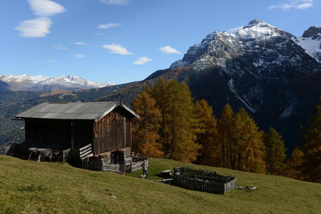 Bed and Breakfast Haus Elisabeth Neustift im Stubaital Exterior foto