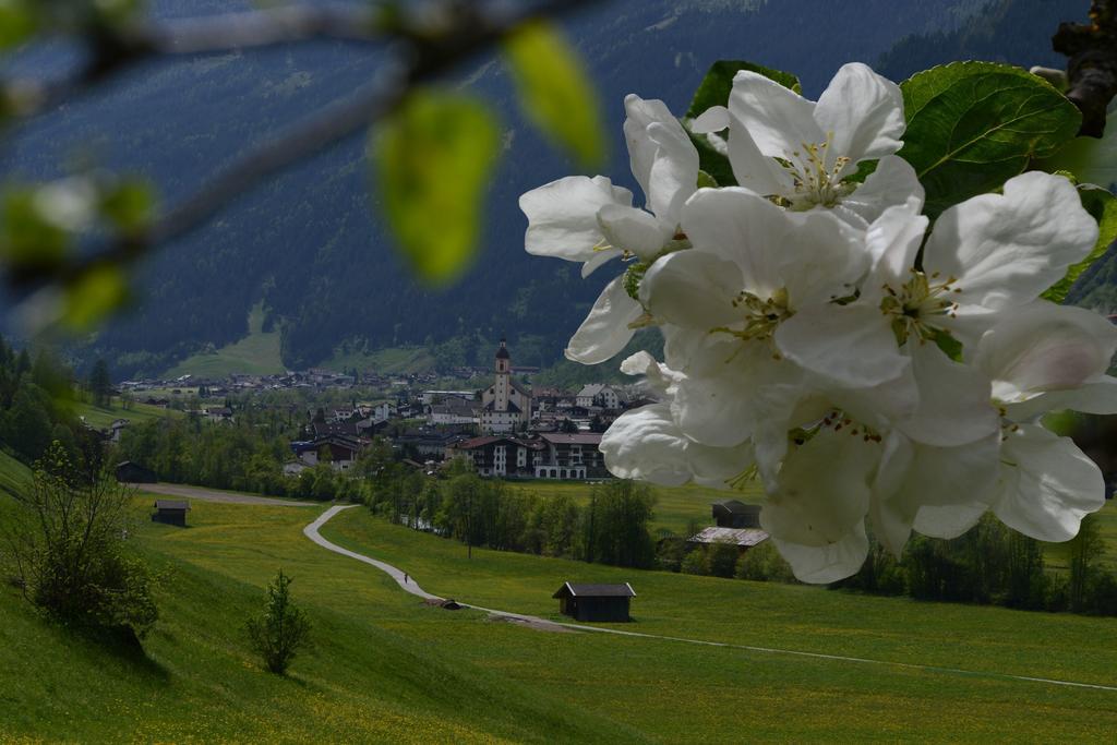 Bed and Breakfast Haus Elisabeth Neustift im Stubaital Exterior foto