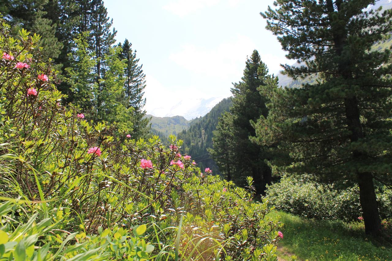 Bed and Breakfast Haus Elisabeth Neustift im Stubaital Exterior foto